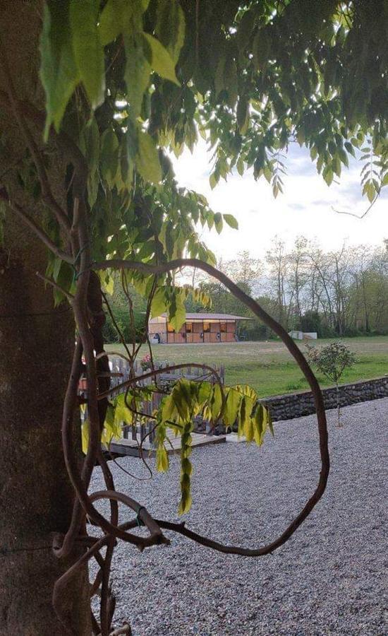 Agriturismo Helianthus Oleggio Exteriör bild