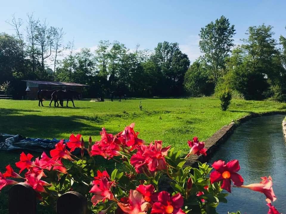 Agriturismo Helianthus Oleggio Exteriör bild