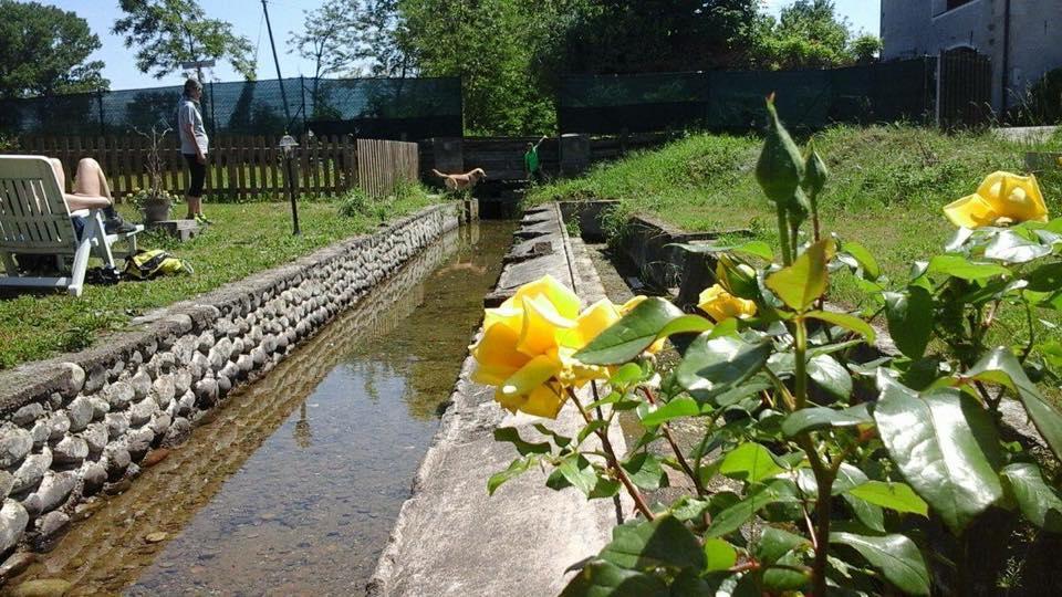 Agriturismo Helianthus Oleggio Exteriör bild